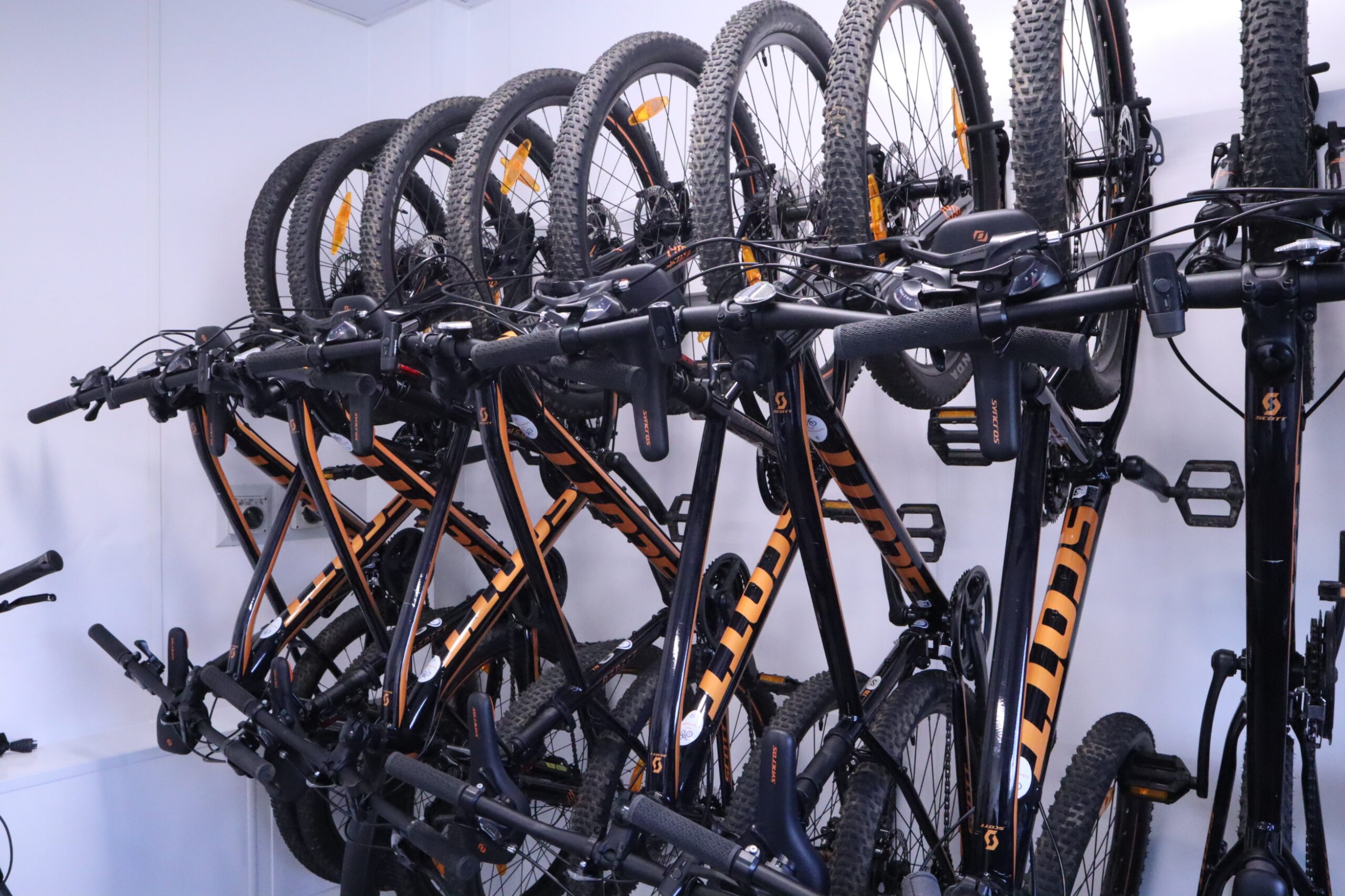 Bikes on a rack